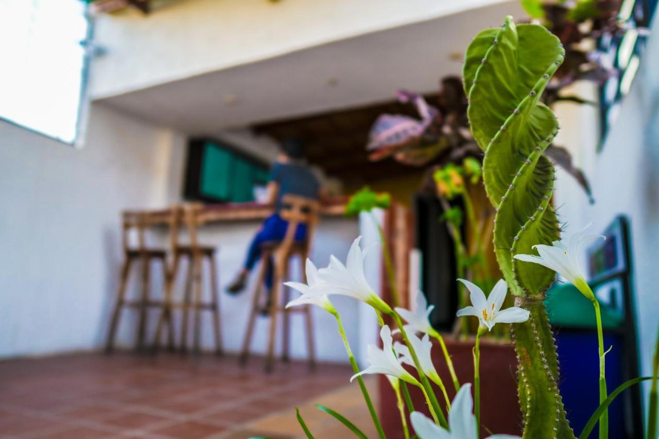 Aluna Hostel B&B Санта-Марта Екстер'єр фото